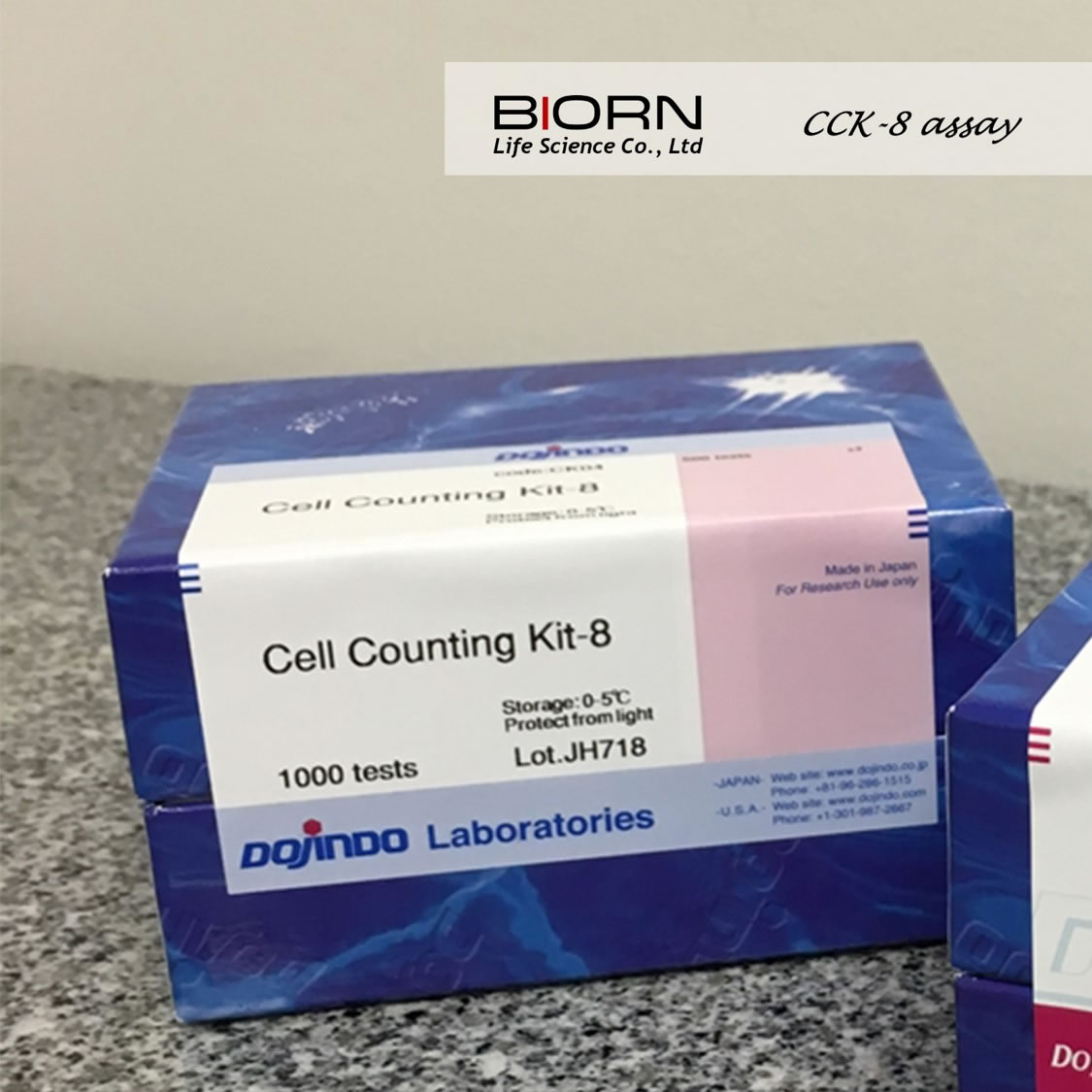 MTT、CCK8、SRB、克隆形成、EdU等细胞增殖检测实验